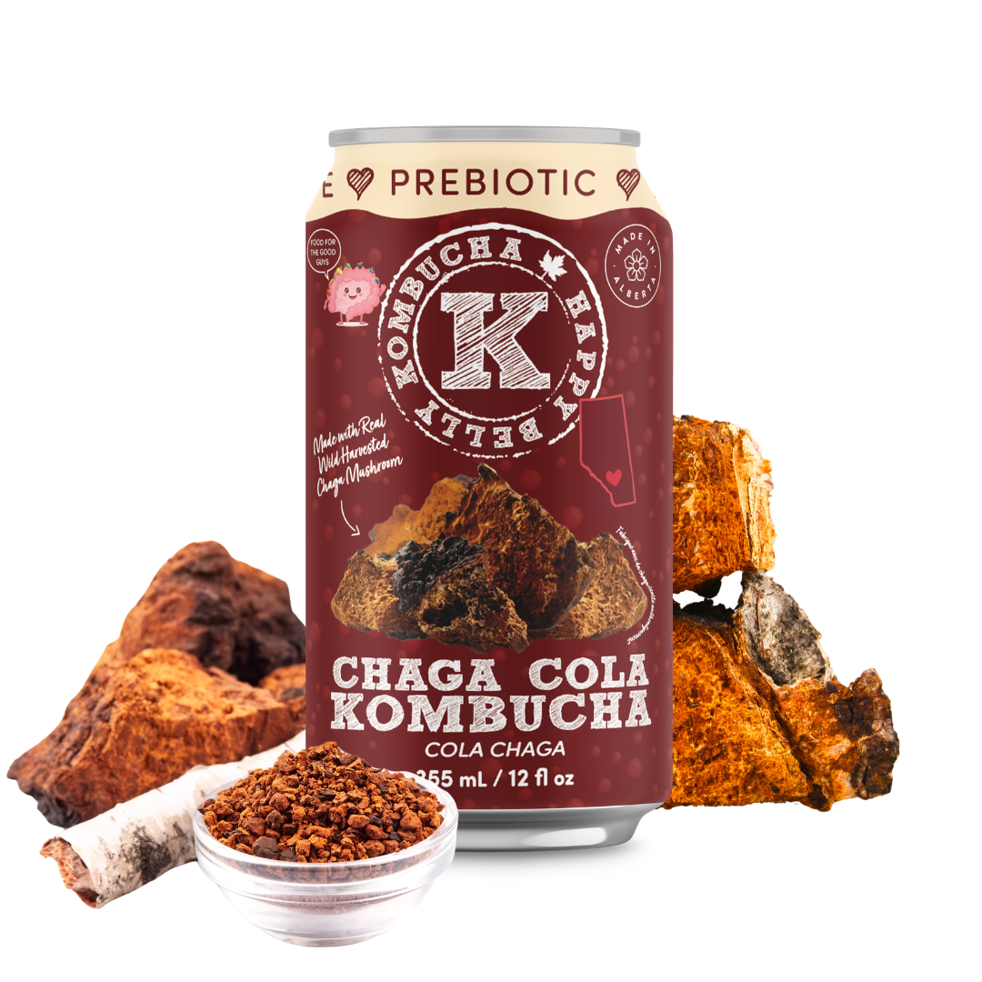 CHAGA COLA KOMBUCHA (PREBIOTIC KOMBUCHA)