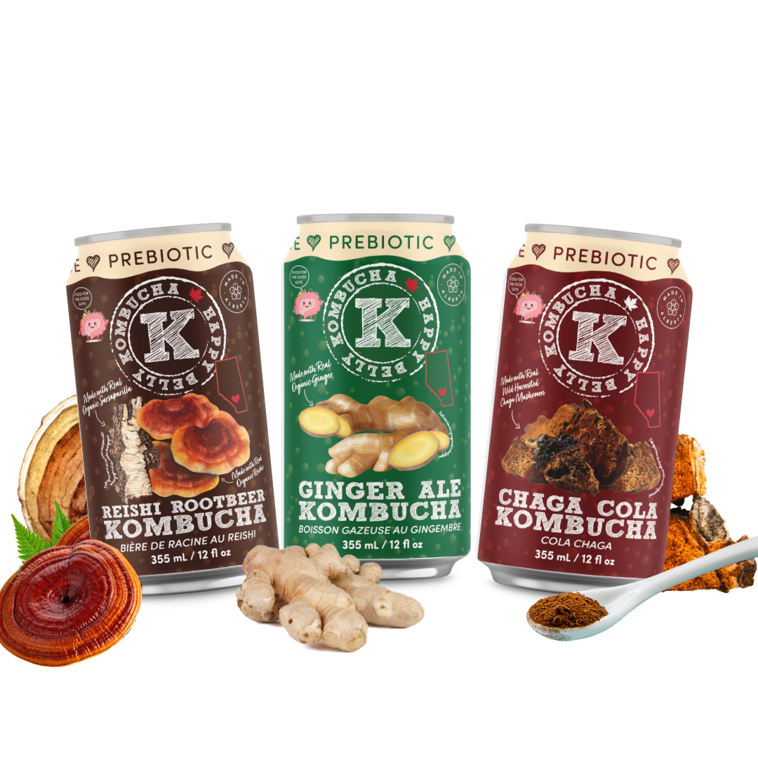 ASSORTED - PREBIOTIC KOMBUCHA (Reishi Rootbeer, Ginger Ale, and Chaga Cola)