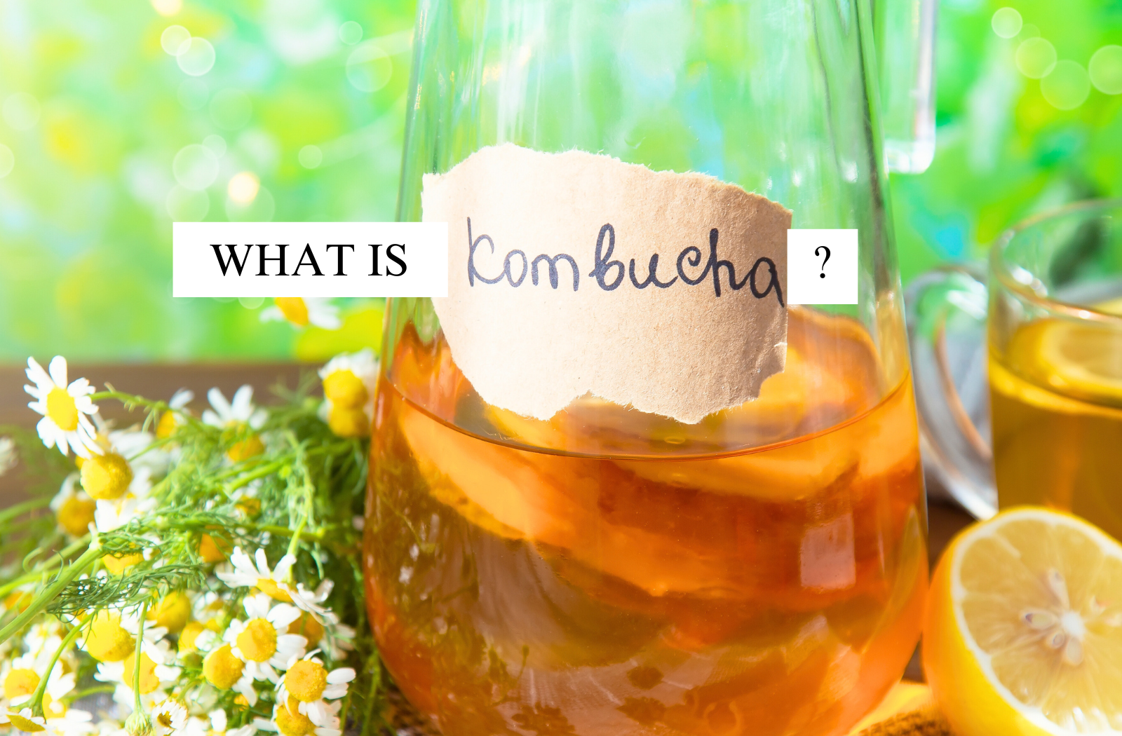 what is kombucha in a jar with happy belly kombucha starter