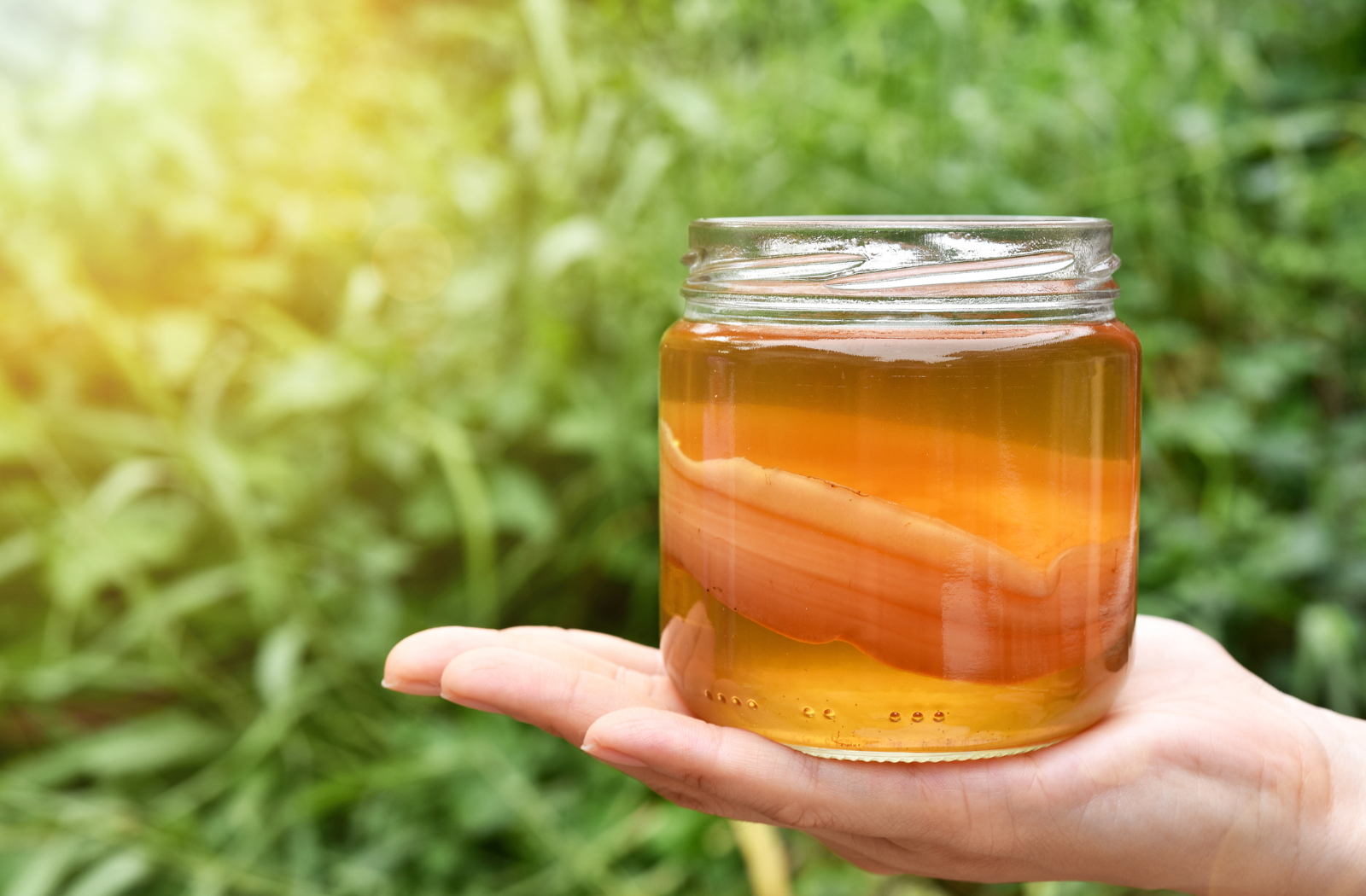 happy belly kombucha juice in glass and held in palm banner