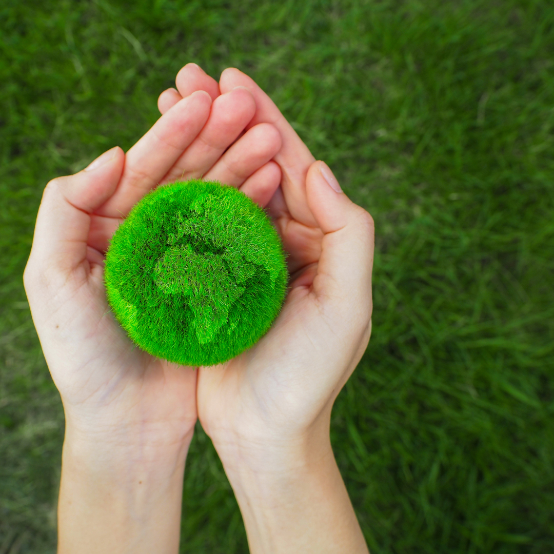 two hands holding a green fluffy ball with grass in the background