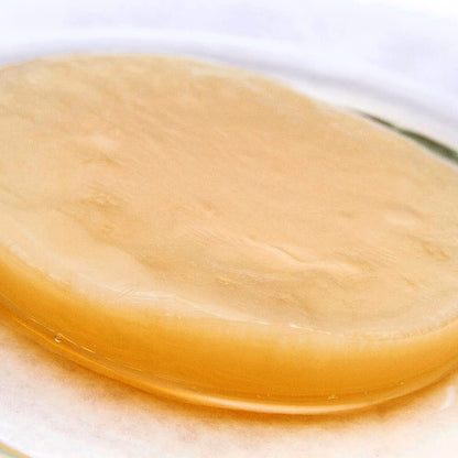 scoby kombucha