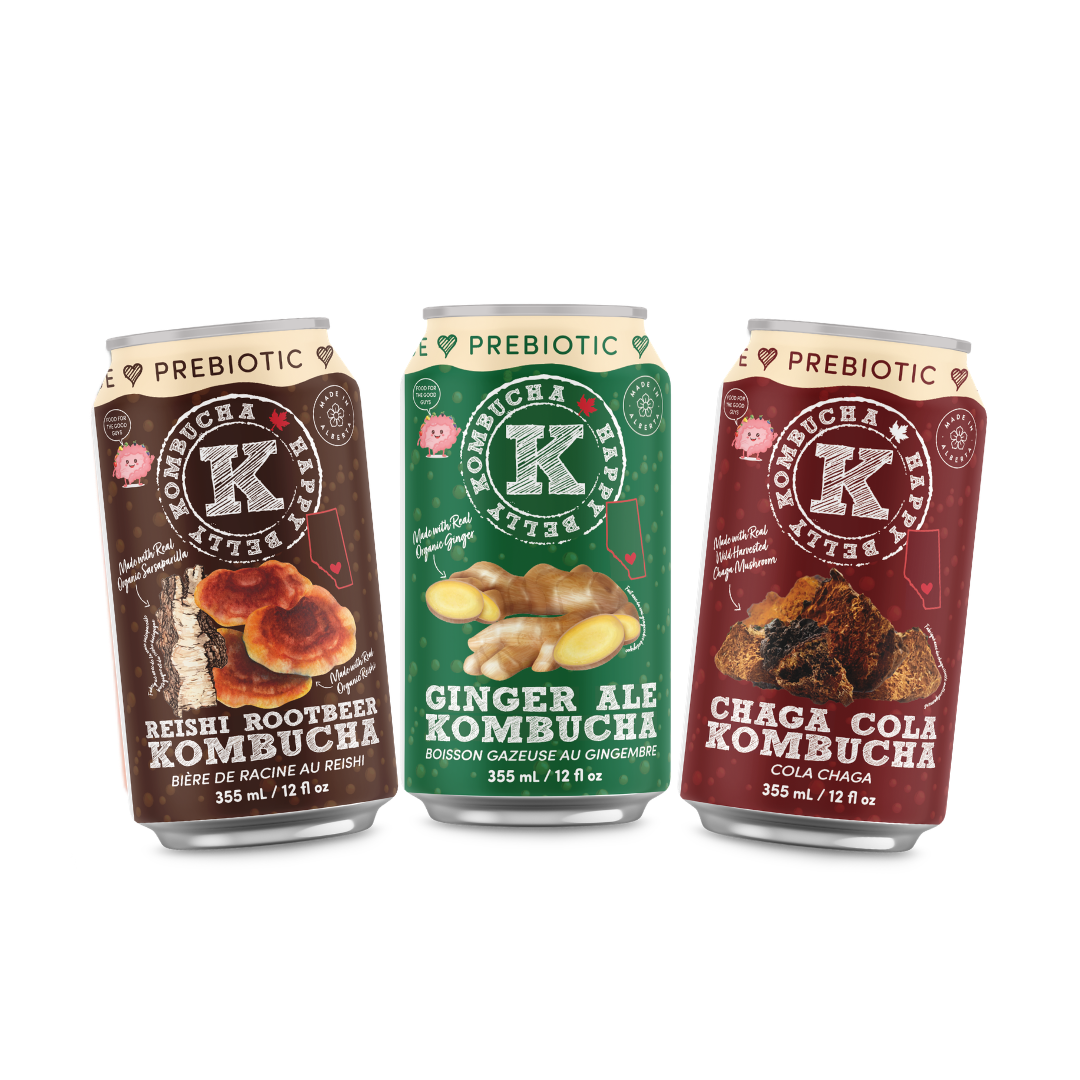 ASSORTED - PREBIOTIC KOMBUCHA (Reishi Rootbeer, Ginger Ale, and Chaga Cola)