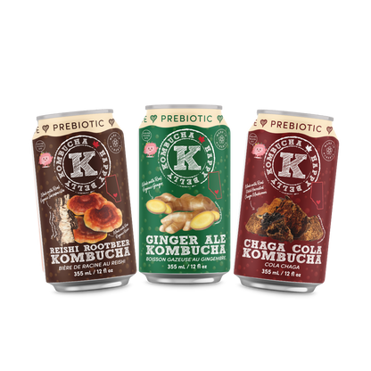 ASSORTED - PREBIOTIC KOMBUCHA (Reishi Rootbeer, Ginger Ale, and Chaga Cola)